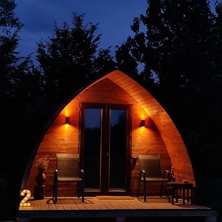 Casute In Mijlocul Naturii - Wild Camp Avrig Exterior photo