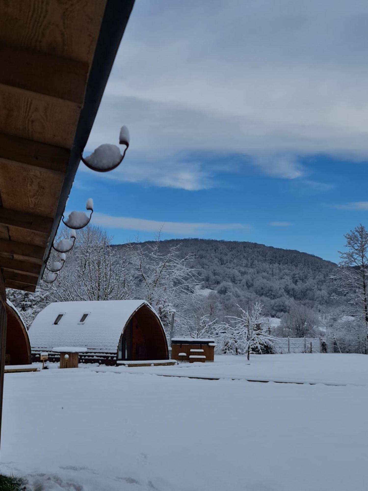 Casute In Mijlocul Naturii - Wild Camp Avrig Exterior photo