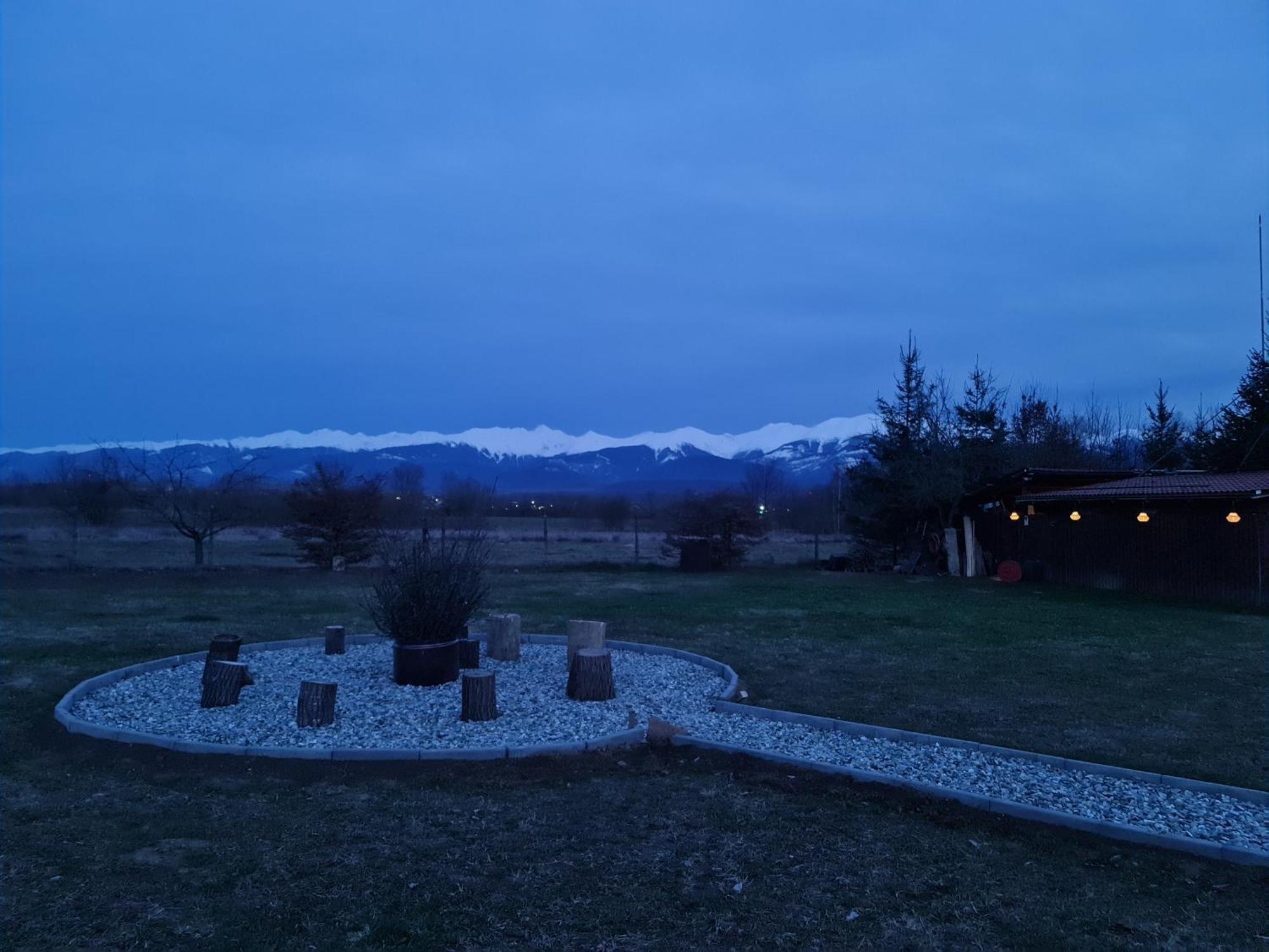 Casute In Mijlocul Naturii - Wild Camp Avrig Exterior photo
