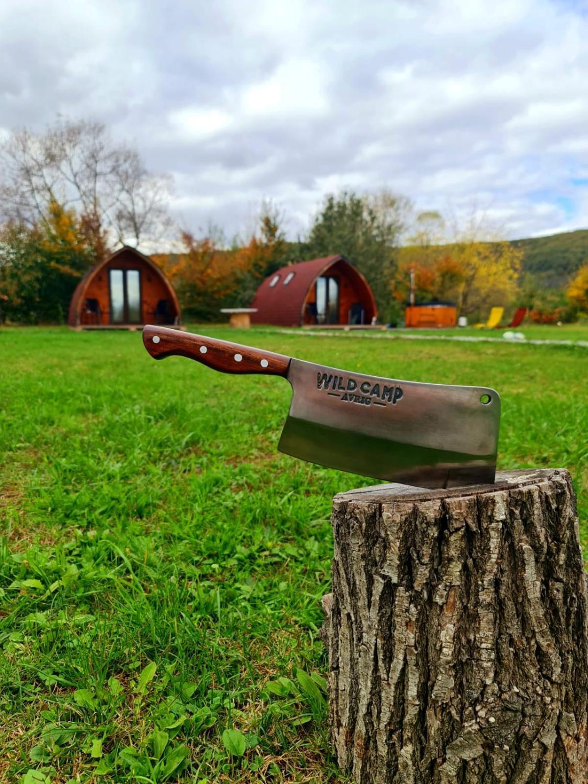 Casute In Mijlocul Naturii - Wild Camp Avrig Exterior photo