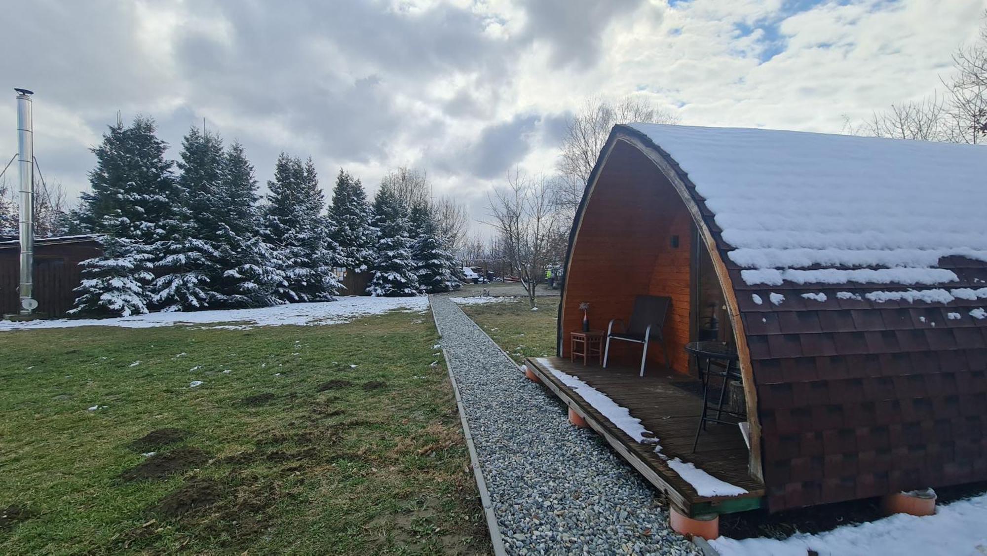 Casute In Mijlocul Naturii - Wild Camp Avrig Exterior photo