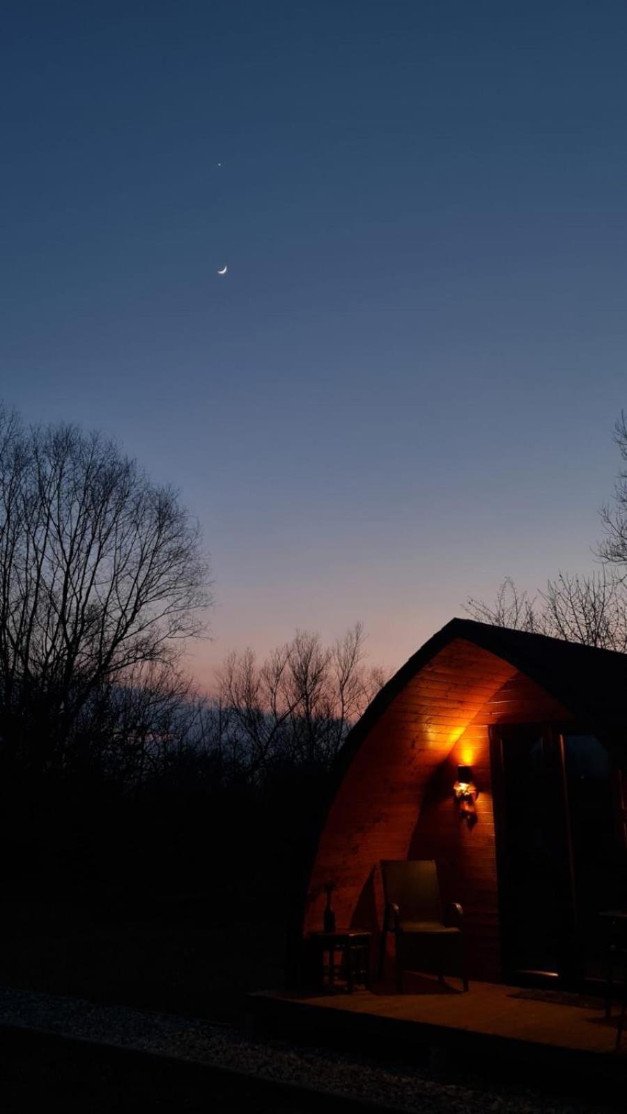 Casute In Mijlocul Naturii - Wild Camp Avrig Exterior photo
